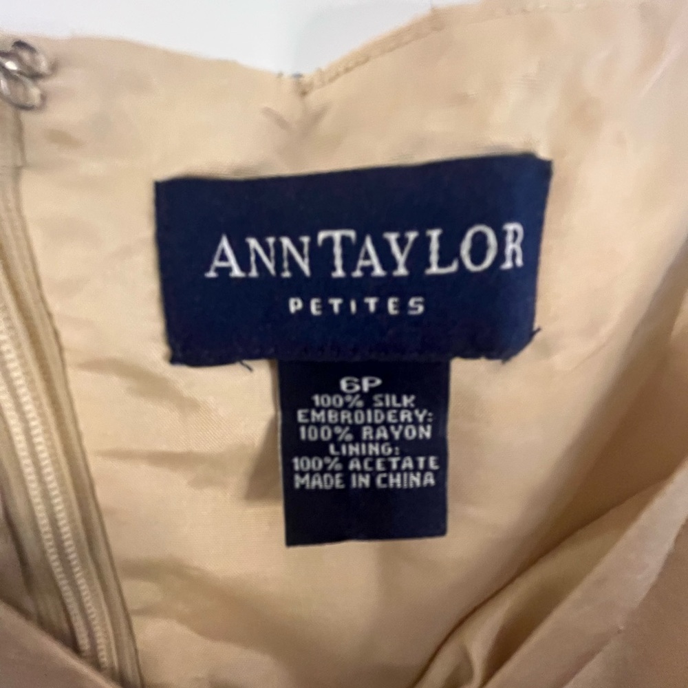 Ann Taylor Beige Silk Dress